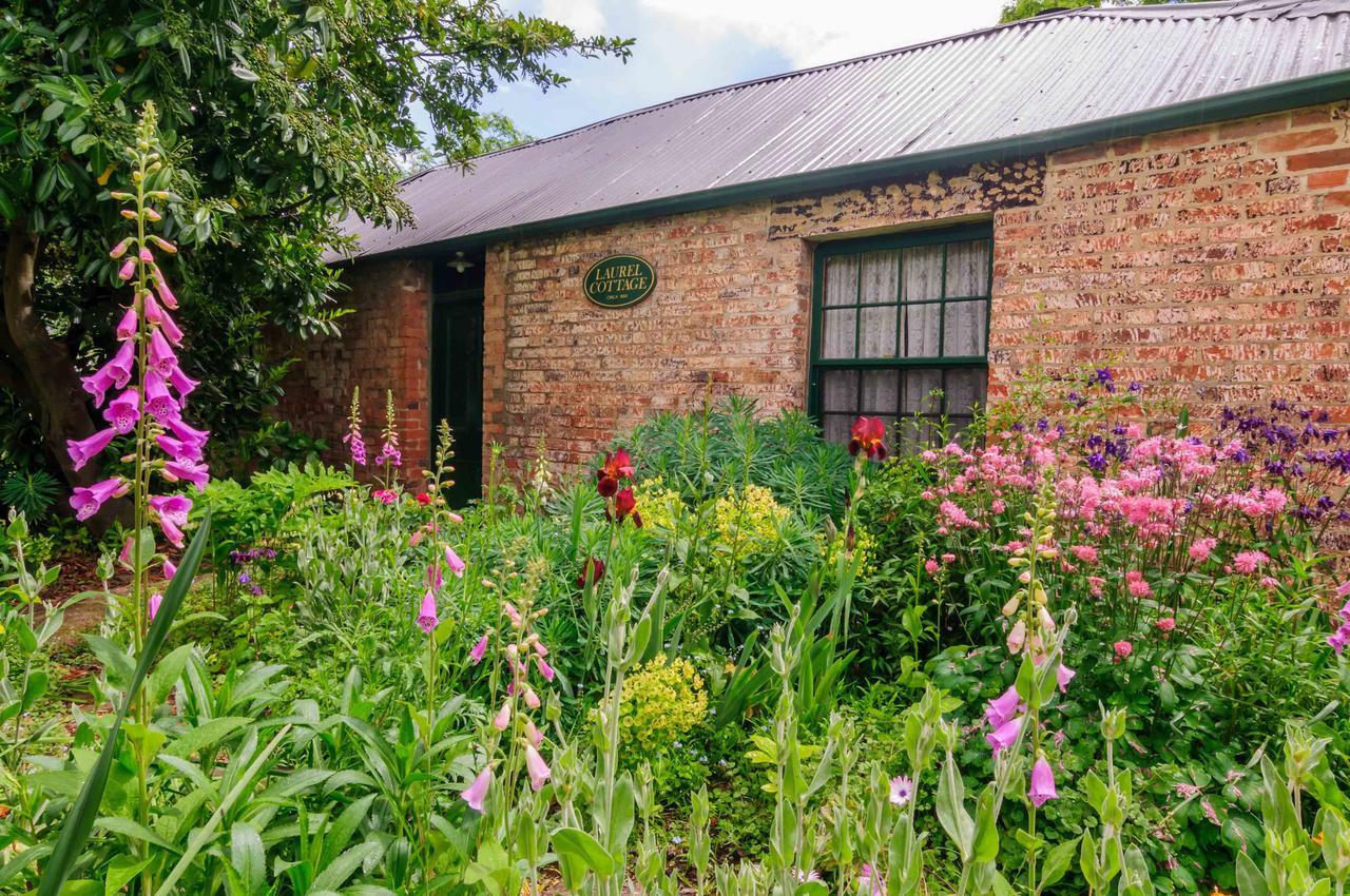 Laurel Cottage Richmond Ngoại thất bức ảnh