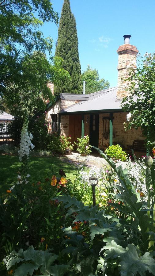 Laurel Cottage Richmond Ngoại thất bức ảnh