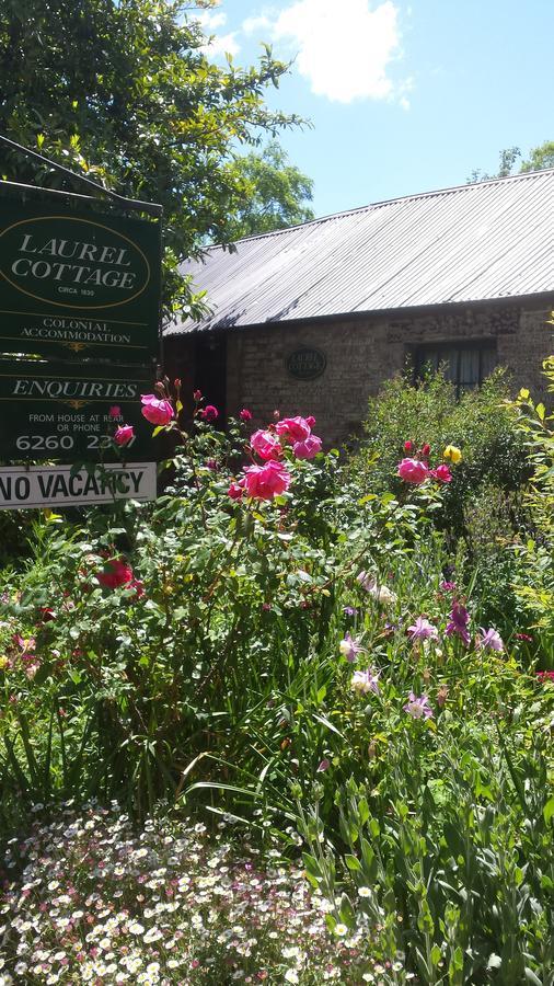 Laurel Cottage Richmond Ngoại thất bức ảnh